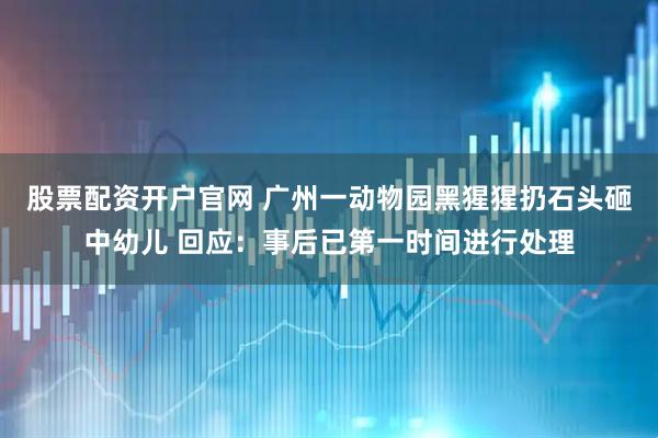 股票配资开户官网 广州一动物园黑猩猩扔石头砸中幼儿 回应：事后已第一时间进行处理