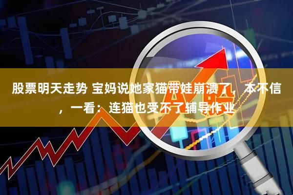 股票明天走势 宝妈说她家猫带娃崩溃了，本不信，一看：连猫也受不了辅导作业