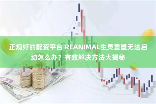 正规好的配资平台 REANIMAL生灵重塑无法启动怎么办？有效解决方法大揭秘