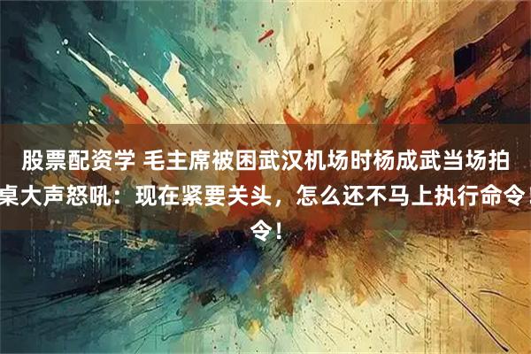 股票配资学 毛主席被困武汉机场时杨成武当场拍桌大声怒吼：现在紧要关头，怎么还不马上执行命令！